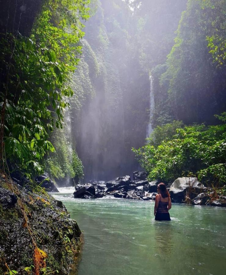 Munduk Kupang Sekumpul Villa Сингараджа Экстерьер фото
